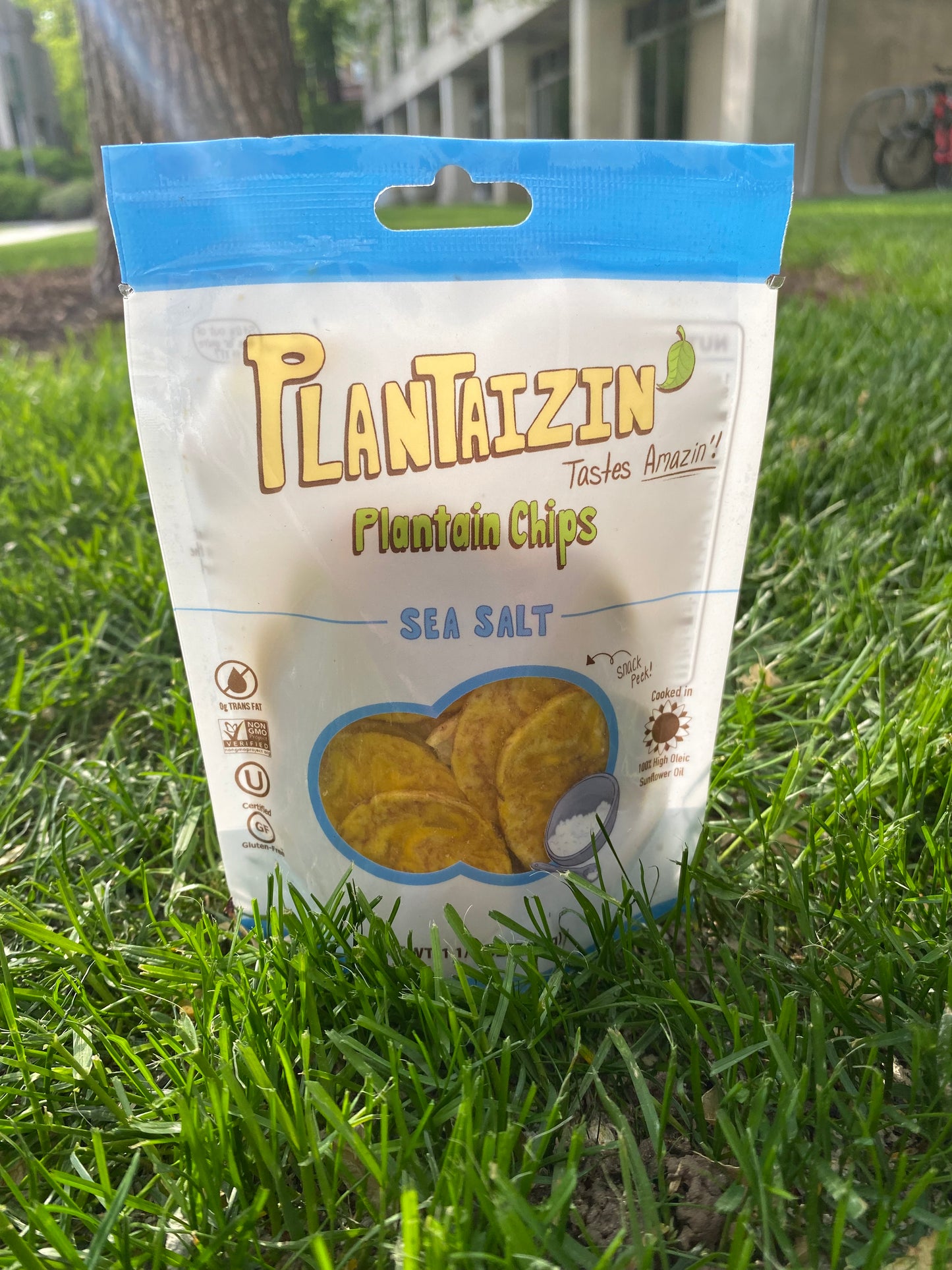 Plantaizin' Plantain Chips - Sea Salt, 1.25oz, 1 case (36 pack), B2B